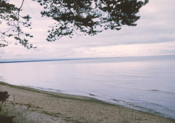 Побережье Белого моря.